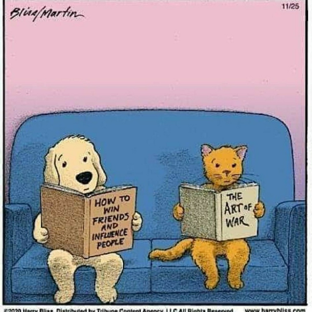 Meet your Posher, Michael